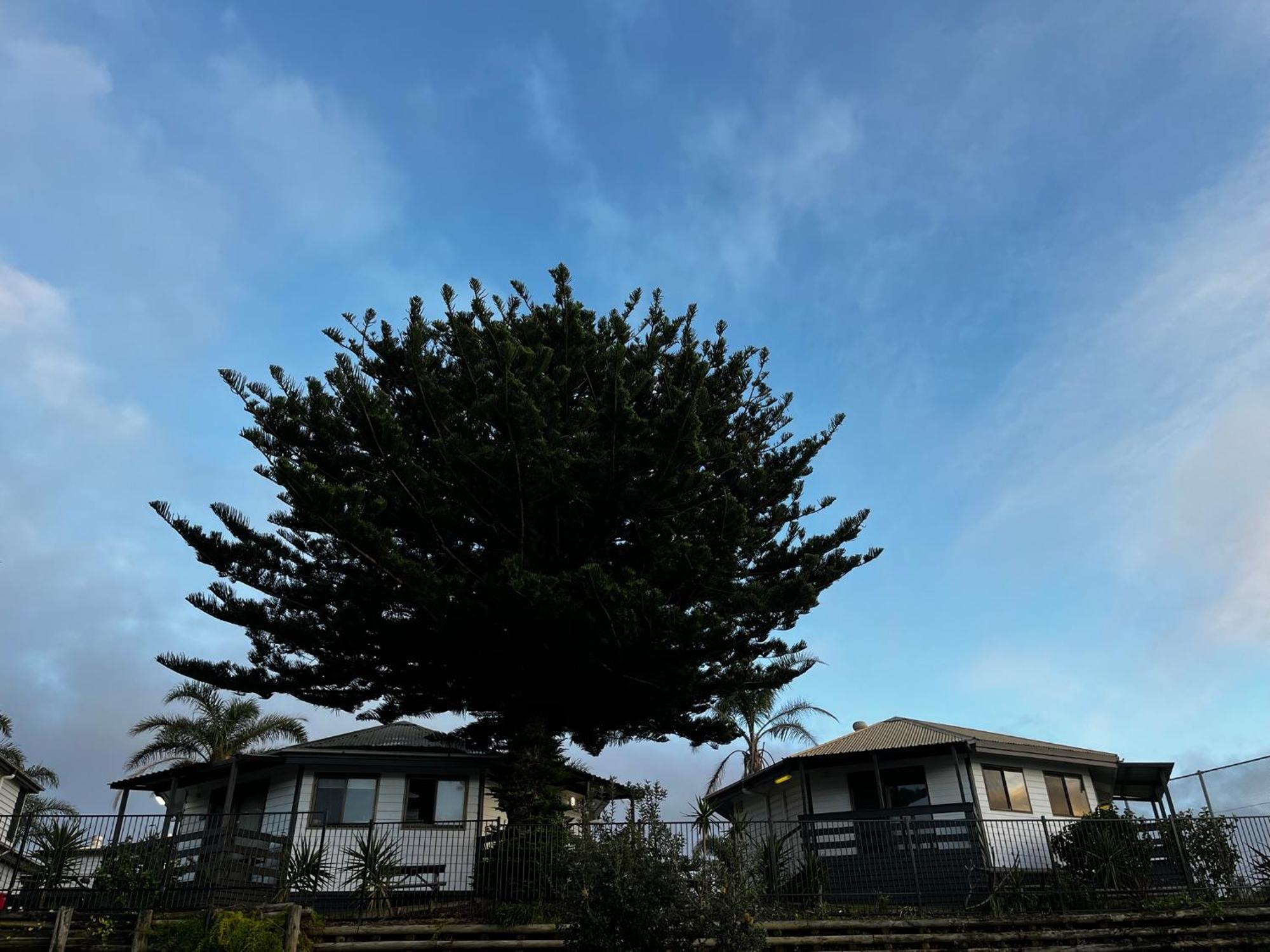Shelly Beach Holiday Park Entrance Exterior foto